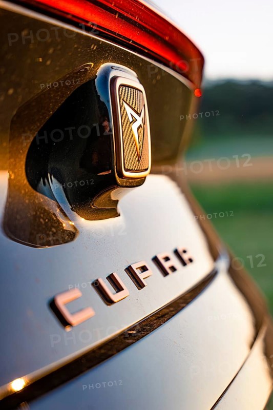 Close-up of emblem on black car with focus on details, Deer e-car sharing, Cupra electric car, Germany