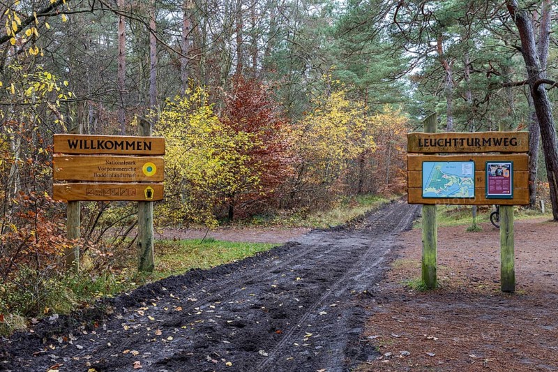 Trail with signs through autumn forest, autumn-colored leaves, Darßwald, Fischland-Darß-Zingst, Western Pomerania Lagoon Area National Park, Mecklenburg-Western Pomerania, Germany