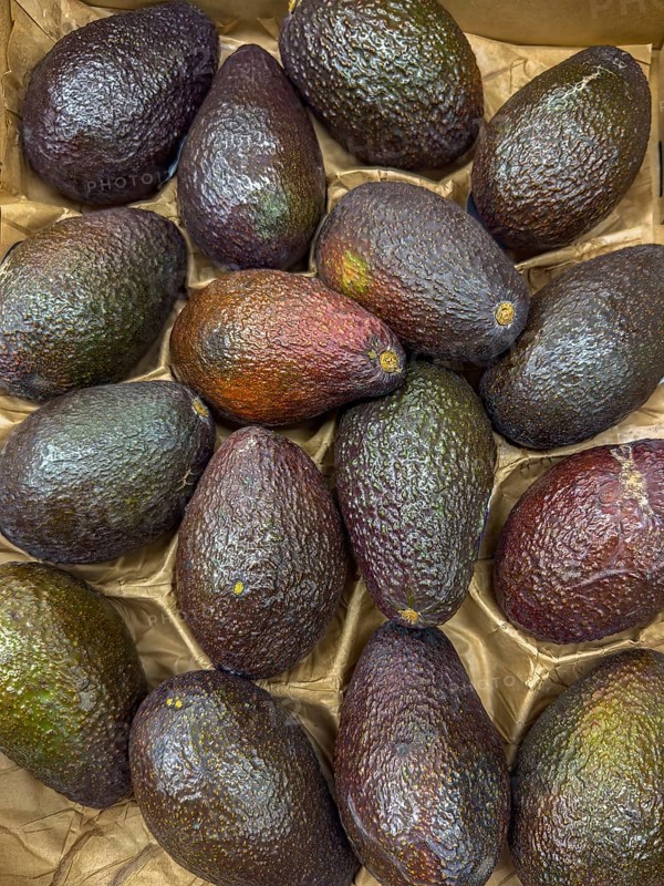 Avocado Avocados Superfood on display from grocery store grocery store grocery store deli supermarket, Germany