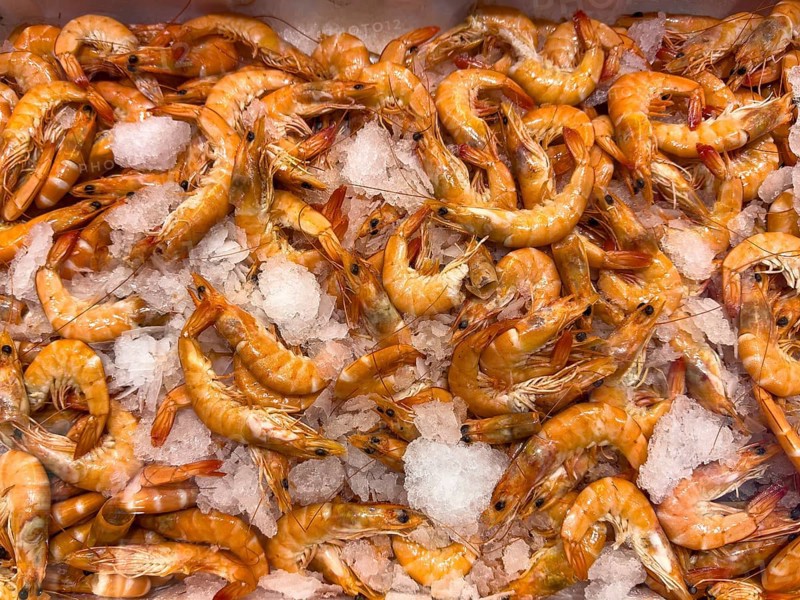 White tiger prawn (Penaeus vannamei) (Whiteleg shrimp vannamei) delicacy from assortment seafood seafood on ice in chilled counter fish counter from fishmonger fishmonger, food trade, wholesale, fish trade, speciality shop, Germany