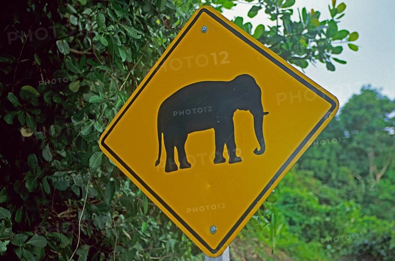 Elephant warning sign, Ko Phuket, Thailand, December 2002, vintage, retro, old, historic