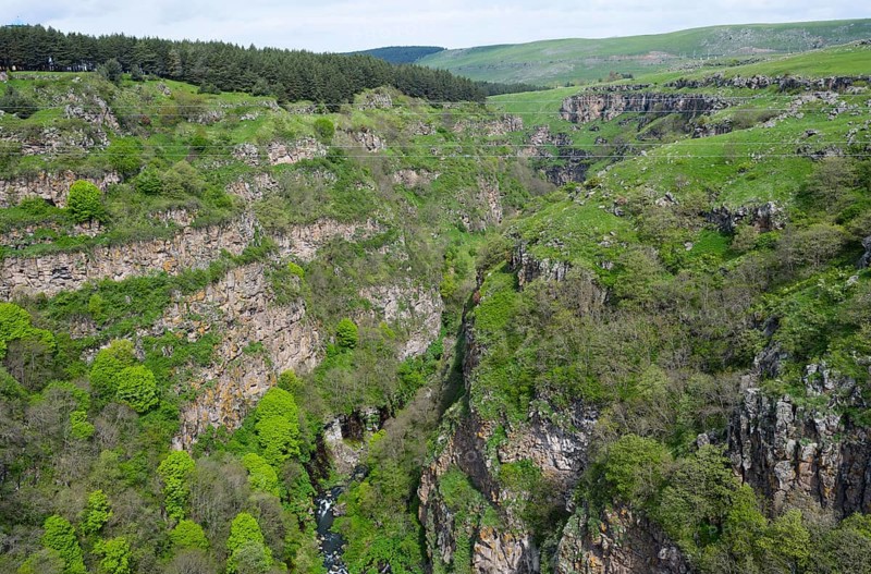 Extensive landscape with green vegetation and high rock walls, Dashbashi Gorge, Khrami River, Tsalka Nature Reserve, Kartli, Georgia
