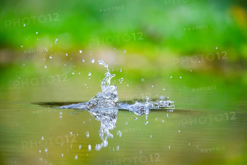 Splashing Water from a Common kingfisher (Alcedo atthis) flying into the water hunting for fish in late summer, wildife, Bavaria, Germany