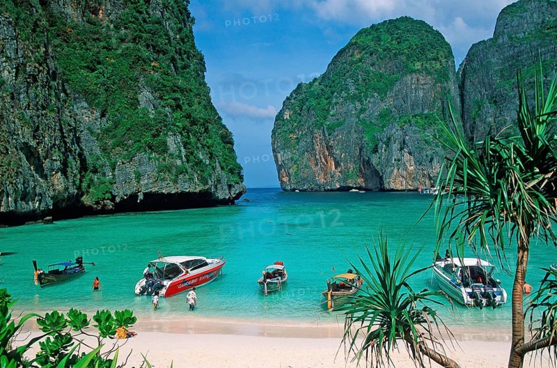 Palm tree and boats on Maya Bay beach, known from the movie The Beach, one year in front of the tsunami, Ko Phi Phi Le, Thailand, December 2002, vintage, retro, old, historic