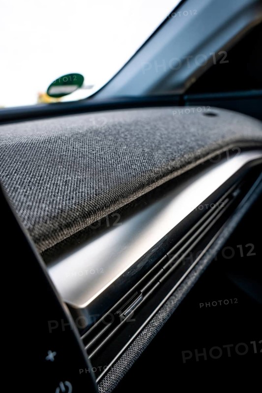 Close-up view of a car with fabric-covered dashboard in modern design, Deer E-Carsharing, Renault Megane, Calw, Germany