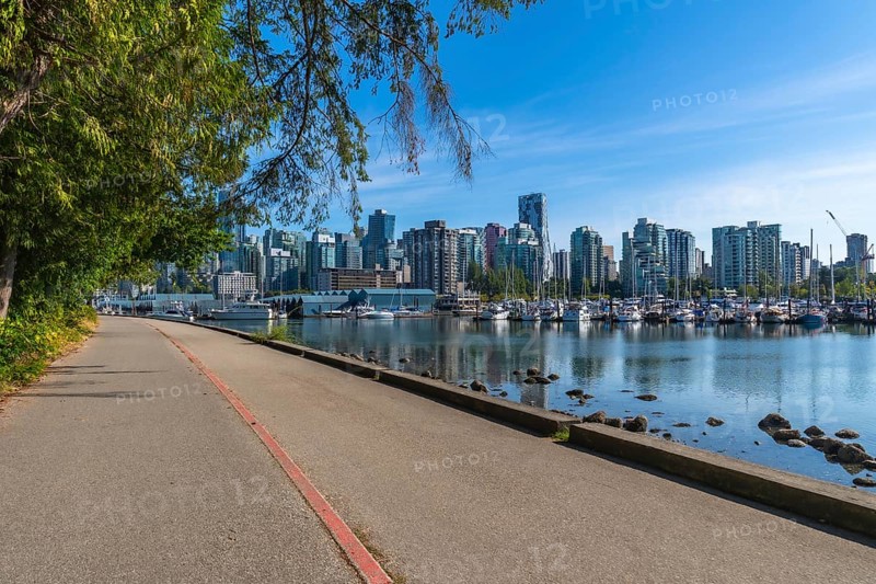 Lush green trees frame a tranquil paved pathway bordering a calm marina filled with boats, with the impressive vancouver city skyline rising majestically in the background under a clear blue sky