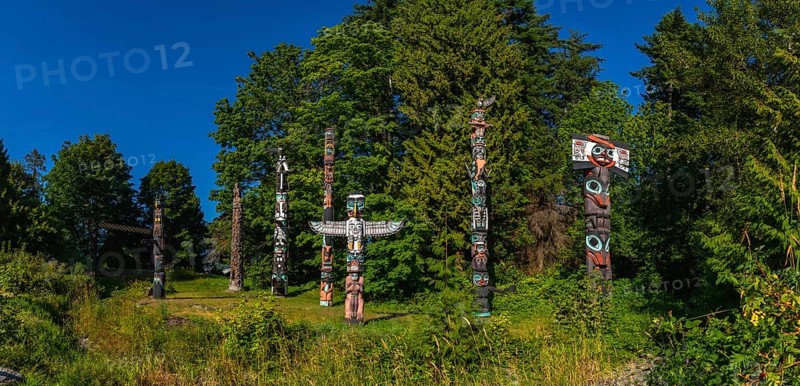 Totem poles rising against a backdrop of lush greenery and blue sky, reflecting the rich history and traditions of indigenous peoples in stanley park, vancouver