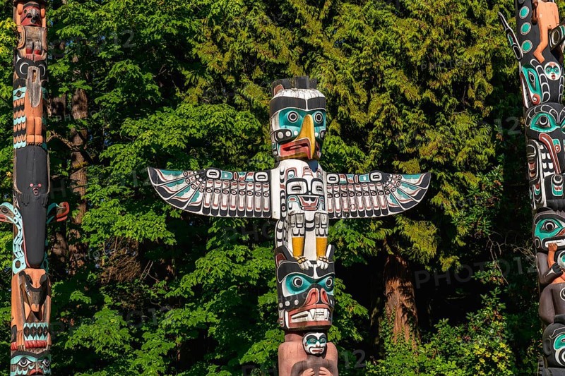 Colorful totem poles rise against a backdrop of lush green trees, reflecting the rich history and traditions of indigenous peoples in stanley park, vancouver