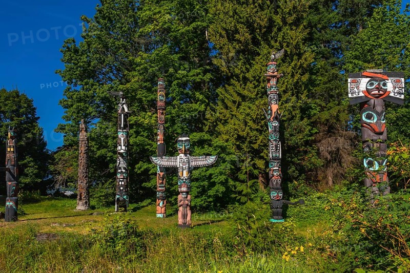 Totem poles standing tall against a backdrop of lush trees and blue sky, showcasing the rich history and artistry of indigenous cultures in stanley park, vancouver, british columbia