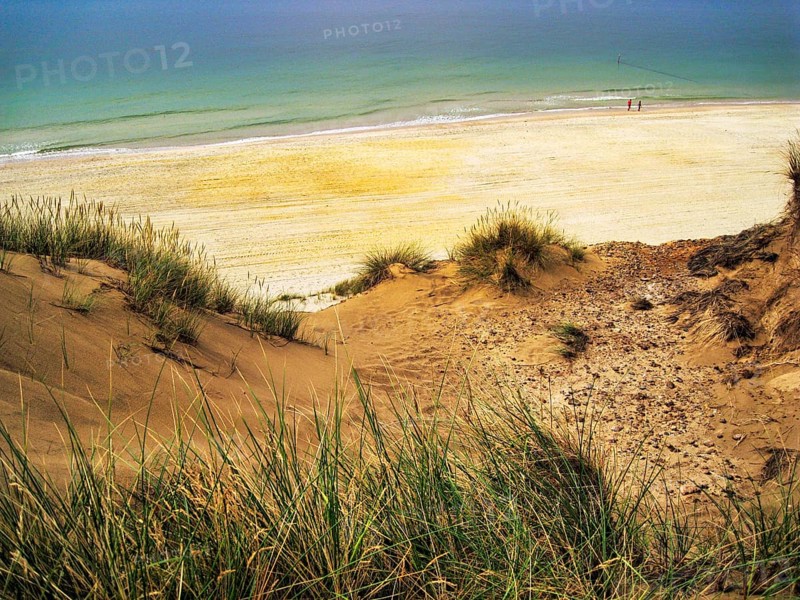 Dune landscape, Red Cliff looking down at the sandy beach, walkers on the horizon, Weststrand, Wenningstedt, North Sea, Germany