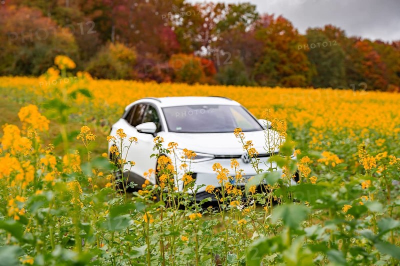 An SUV stands in a yellow flower field with autumn trees in the background, Deer E-Carsharing, VW ID4, Calw, Germany