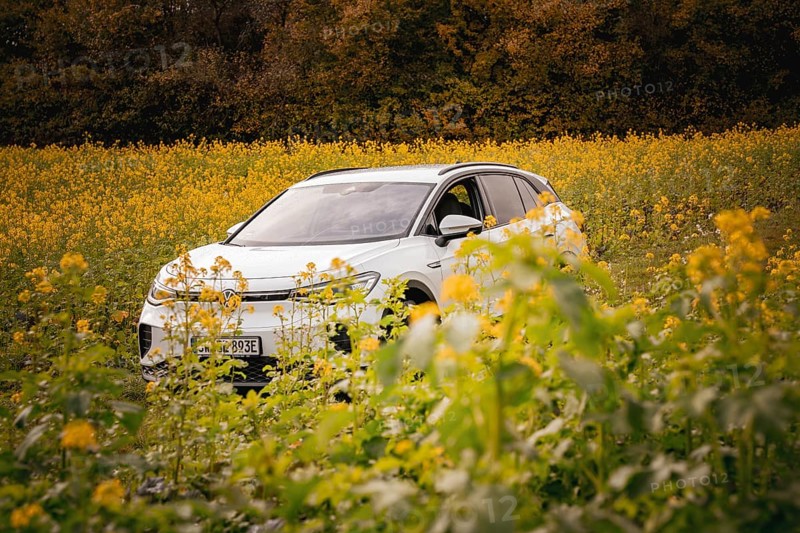 White SUV in a yellow flower field on a sunny day, Deer e-Carsharing, VW ID4, Calw, Germany