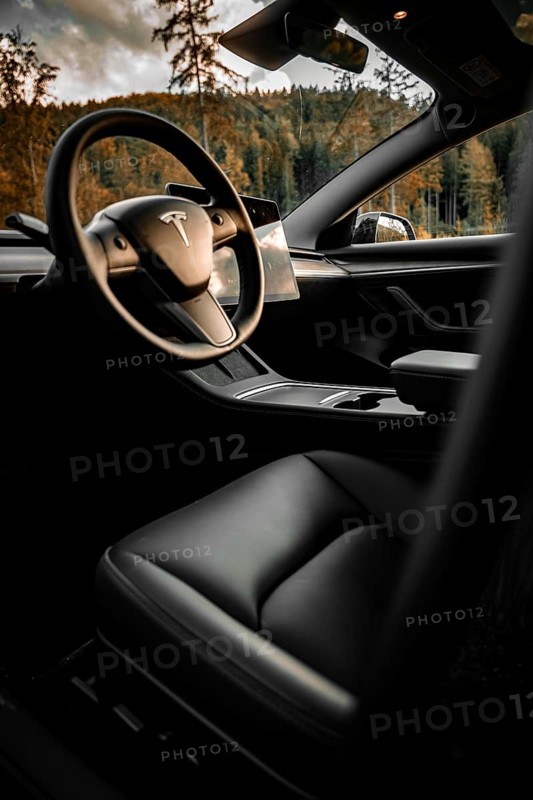 Interior view of a Tesla with a view of the steering wheel and nature, Deer e-Carsharing, Tesla Model 3, Calw, Germany