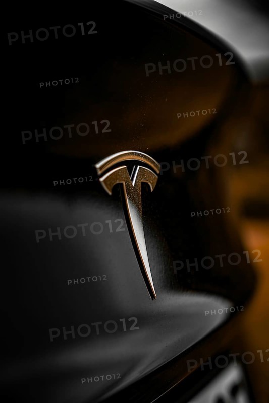 Close-up of Tesla logo on black car with dark background, Deer E- car sharing, Tesla Model 3, Calw, Germany