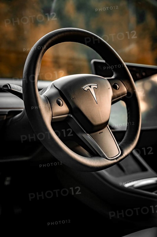 Close-up of a Tesla steering wheel in a modern interior, Deer e-Carsharing, Tesla Model 3, Calw, Germany