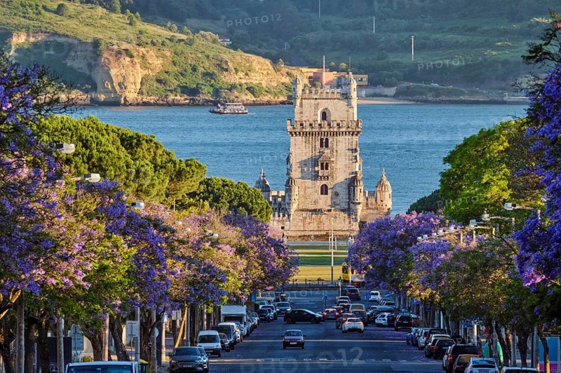Blooming jacaranda trees line the street as visitors admire Belem Tower on the Tagus River at sunset in Lisbon, Portugal. Belem, Lisbon, Portugal