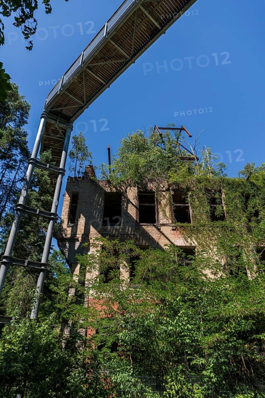 Lost Place, Treetop Trail of the Beelitz Heilstätten, Brandenburg