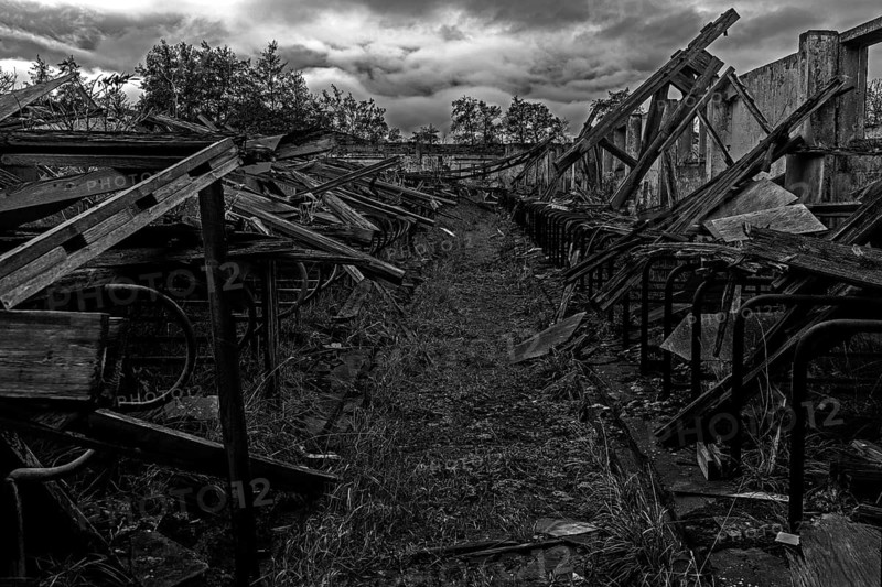 Dilapidated hall of the dilapidated plant of a former agricultural production cooperative of the former GDR, LPG, Lost Place, black and white photo, Müggenburg, Fischland-Darß-Zingst, Western Pomerania National Park, Mecklenburg-Western Pomerania, Germany