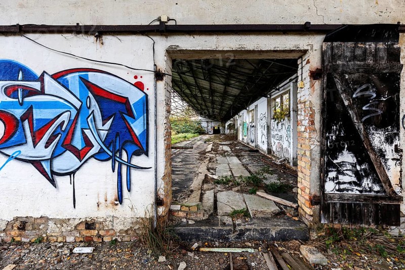 Alte Wand with Grafity and Gate, dilapidated complex of a former agricultural production cooperative of the former GDR, LPG, Lost Place, Müggenburg, Fischland-Darß-Zingst, Western Pomerania National Park, Mecklenburg-Western Pomerania, Germany