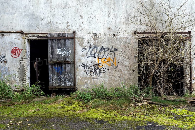 Wall with Grafity and two gates, dilapidated complex of a former agricultural production cooperative of the former GDR, LPG, Lost Place, Müggenburg, Fischland-Darß-Zingst, Western Pomerania National Park, Mecklenburg-Western Pomerania, Germany