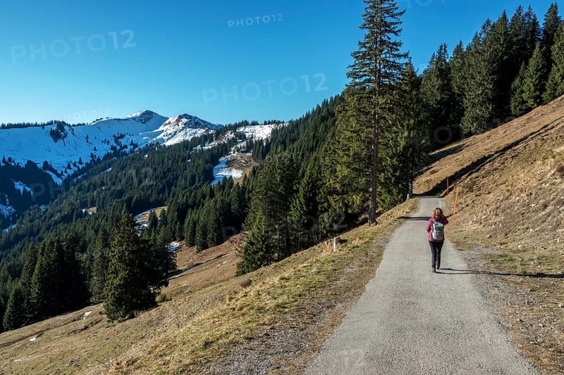 Female hiker on high-altitude hiking trail from Bolsterlanger Horn to Riedberger Horn, back Riedbergerhorn, Bolsterlang, Oberstdorf, Oberallgäu, Allgäu, Bavaria, Germany