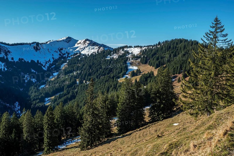 View from the high-altitude hiking trail from Bolsterlanger Horn to Riedberger Horn, behind Riedbergerhorn, Bolsterlang, Oberstdorf, Oberallgäu, Allgäu, Bavaria, Germany