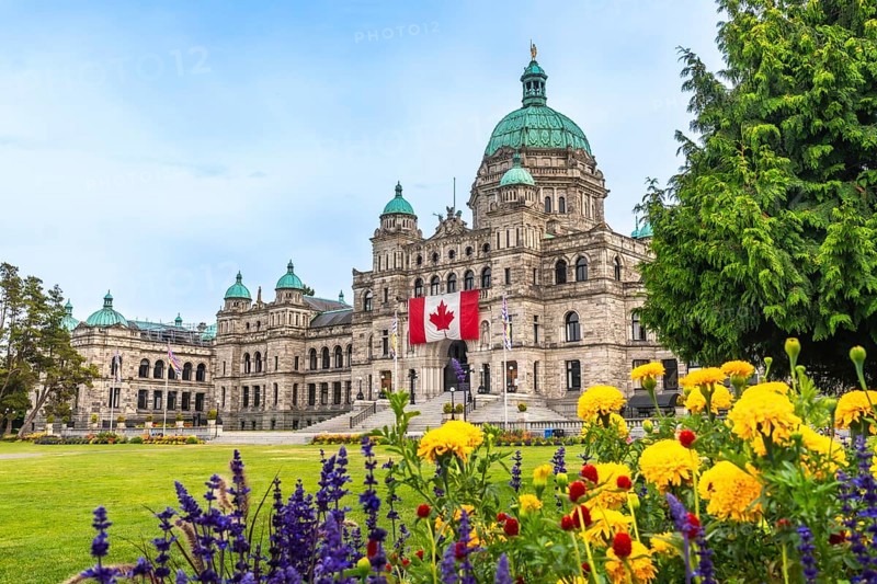 The british columbia parliament buildings are shown displaying a large canadian flag during summer in victoria, british columbia, canada, with colorful flowers in the foreground