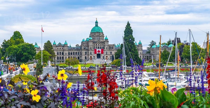 Colorful flowers decorate the inner harbour with the british columbia parliament buildings standing majestically on a sunny summer day in victoria, canada