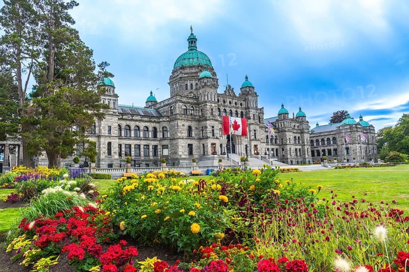 Canadian flag waving in front of parliament buildings in victoria, british columbia, canada during summer with colorful flowers blooming in the foreground and a bright blue sky