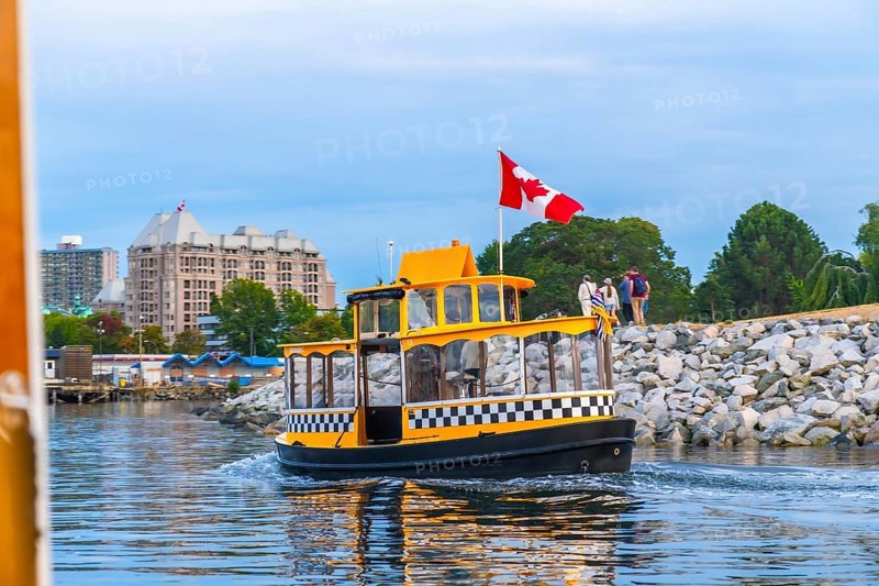 Yellow water taxi, flying canadian flag, leaving pier in victoria harbor with tourists walking on breakwater in background, cityscape of victoria in summer