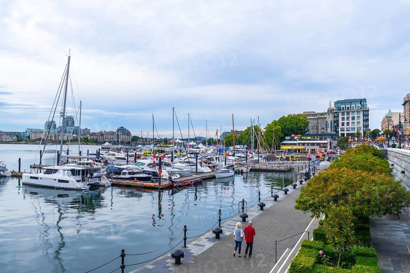 Senior couple strolling along a pedestrian walkway beside a marina, surrounded by yachts and sailboats on a sunny summer day in victoria, british columbia, enjoying the scenic waterfront