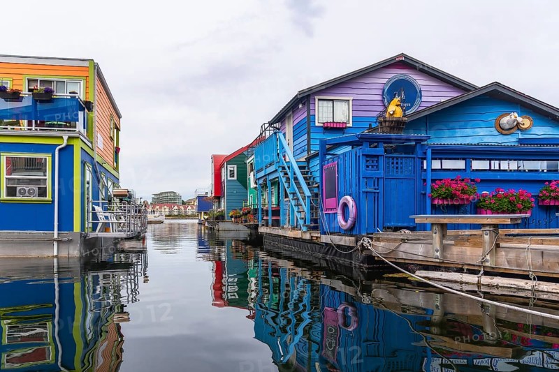 Fisherman's wharf park's brightly colored floating homes create a vibrant reflection in the calm waters of victoria, british columbia, a popular tourist destination on vancouver island