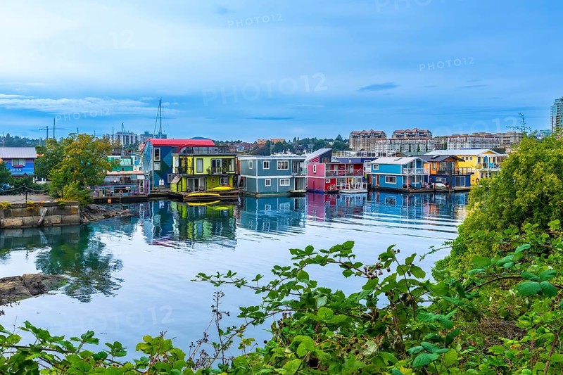 Colorful floating homes reflecting in the calm water at fisherman's wharf park in victoria, british columbia, offer a unique and vibrant waterfront scene on a sunny summer day
