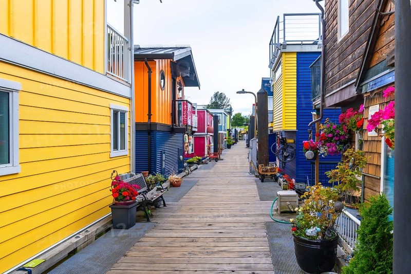 Wooden pathway leading through fisherman's wharf park, featuring vibrant floating homes, potted plants, and a tranquil atmosphere in victoria, british columbia