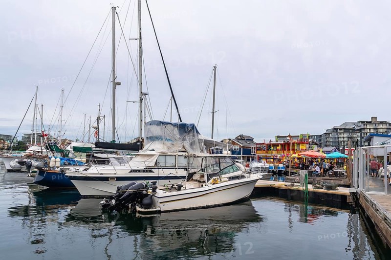 Sailboats and motorboats moored in calm victoria harbor, with colorful floating restaurants and shops creating a vibrant scene on vancouver island