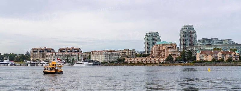 Yellow water taxi sailing in victoria, british columbia inner harbor with cityscape, condominiums, and moored boats in the background during a cloudy summer day