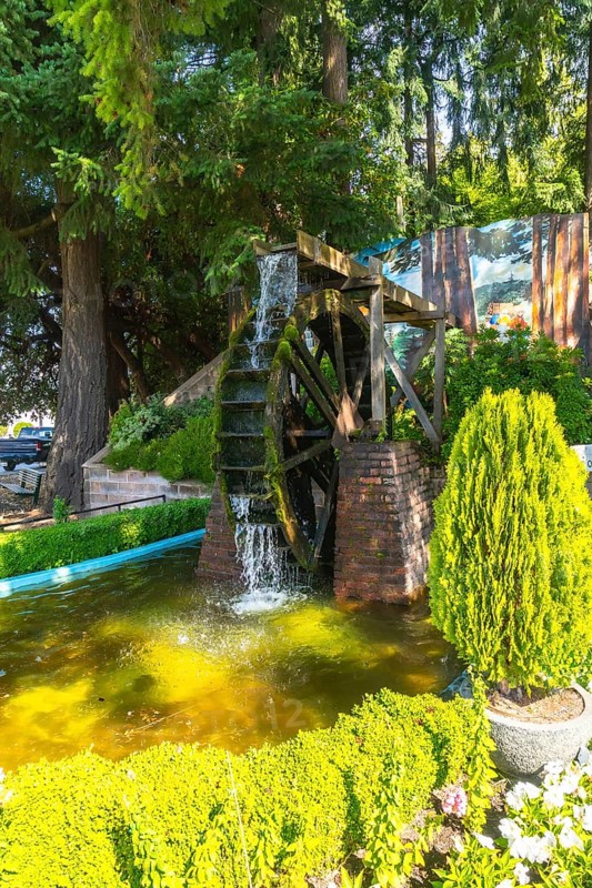 Water cascading over a moss covered water wheel in a vibrant garden within chemainus, british columbia, creating a tranquil and picturesque scene on vancouver island