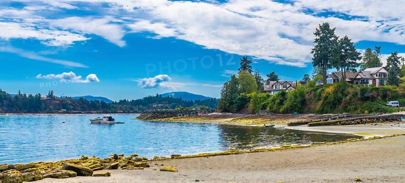 Tranquil coastal scene showcasing a motorboat sailing in the calm waters near the shores of chemainus, vancouver island, with residential houses nestled amidst lush greenery on a sunny summer day