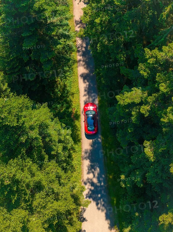 Red car on a narrow path surrounded by thick green forest in sunlight, Porsche Taycan, Deer Carsharing, Calw, Germany