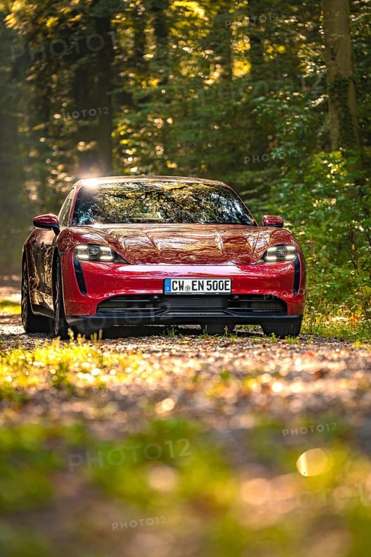 Red car in a sunny forest with green leaves and license plate, Porsche Taycan, deer car sharing. Calw, Germany