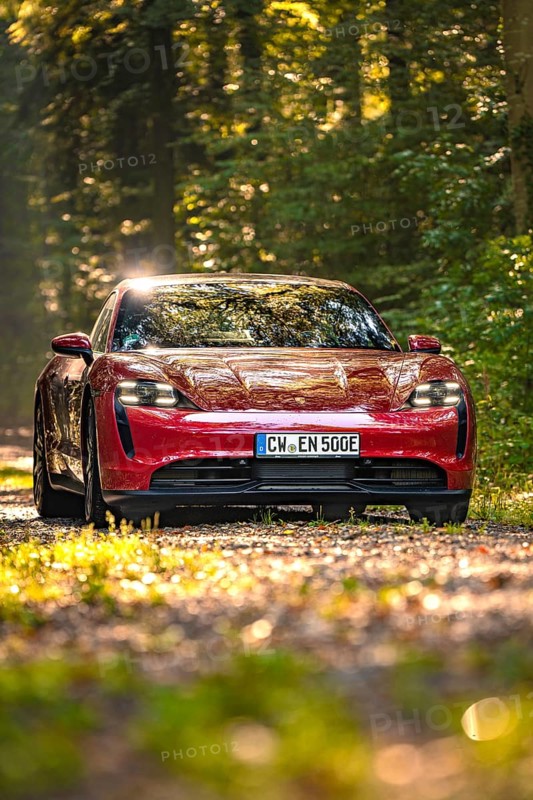 Red car in a forest with sunlight and green ambiance, Porsche Taycan, deer car sharing. Calw, Germany