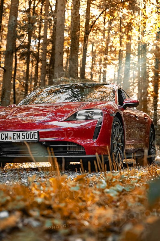 Red car in autumn forest with sunbeams on the license plate, Porsche Taycan, deer car sharing. Calw, Germany