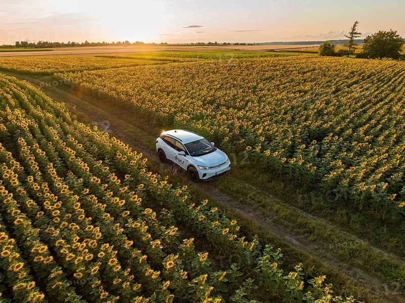 Car on a journey through endless, blooming sunflower fields in the golden hour, VW ID4 electric car, deer car sharing, Calw, Germany