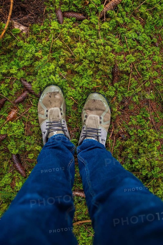 View from above of two feet in shoes standing on moss, Unterhaugstett, Calw district, Germany