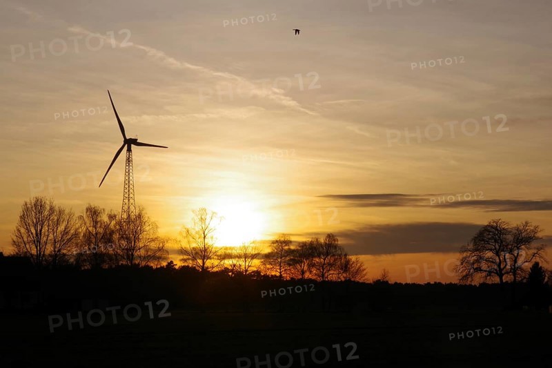 Landscape, wind generator, sunset, orange, atmospheric, winter, Germany, colorful sunset between wind turbine and trees