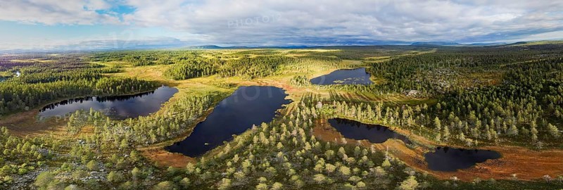 Panoramic view of lakes between forests and moors under cloudy sky, drone shot, aerial view, Dalarnas Län, Sweden