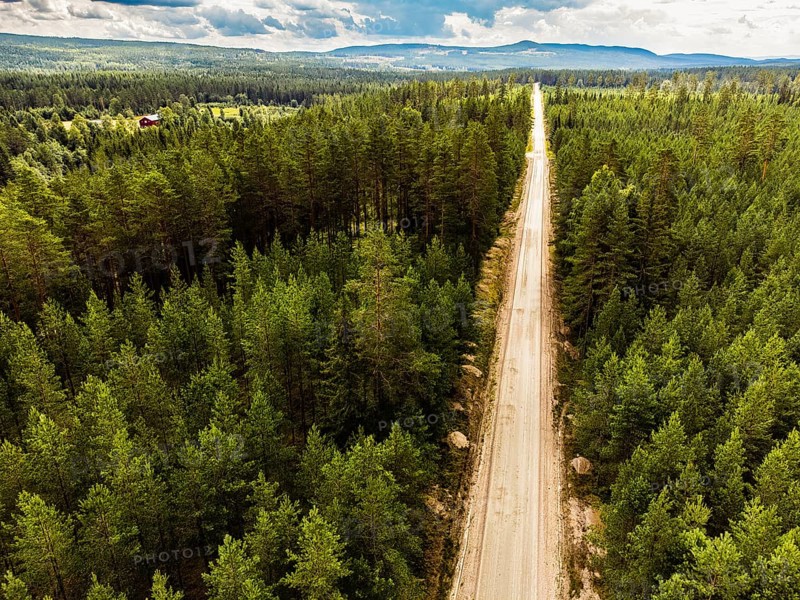 Aerial view of a long road through thick, green pine forest under blue, cloudy sky