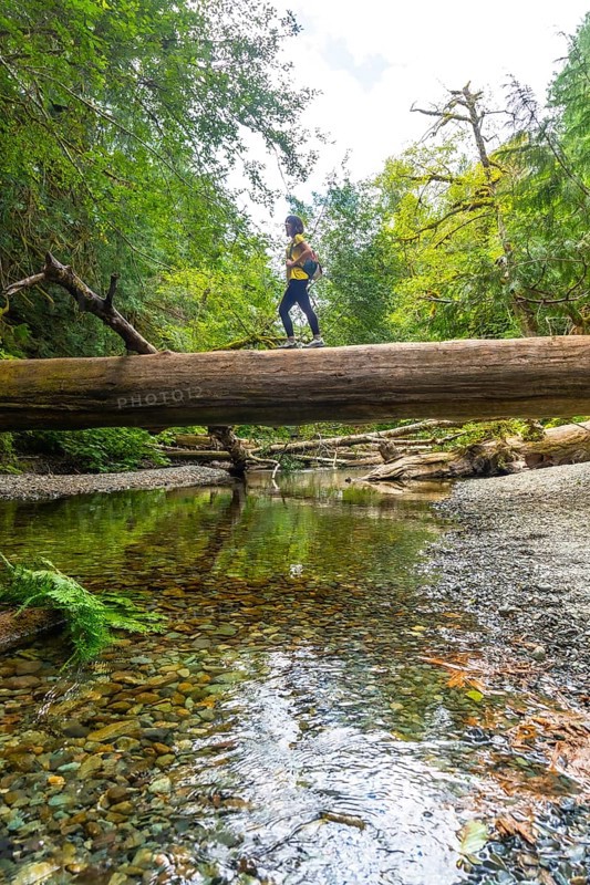 Female hiker walking across a fallen tree trunk bridge, surrounded by a lush forest and enjoying the serene atmosphere of a clear river during a peaceful summer day