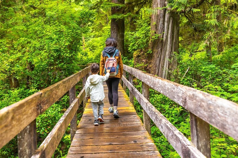 Mother and child enjoying a peaceful walk on a wooden boardwalk through a lush rainforest, surrounded by tall trees and vibrant green foliage, creating a serene and adventurous atmosphere
