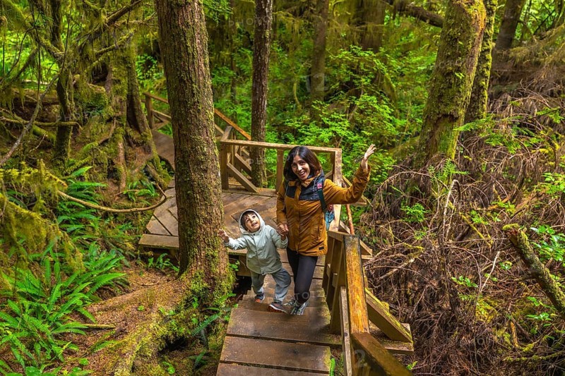 Tourists enjoying walking on wooden pathway through lush green rainforest in ucluelet on vancouver island, british columbia, canada, exploring nature and having fun